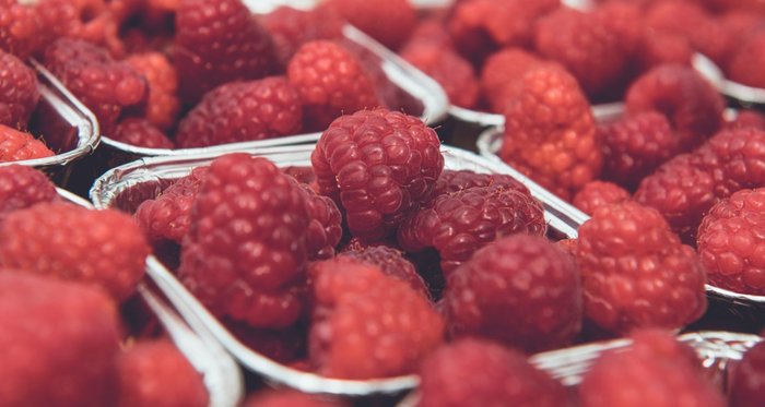Fruit